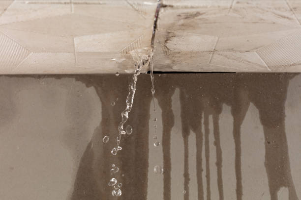 Professional Commercial Water Damage Restoration technician working in Ripley, WV